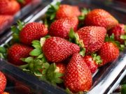 Sering Busuk? Ini 5 Tips Menyimpan Sayur dan Buah Agar Tahan Lama di Dalam Kulkas