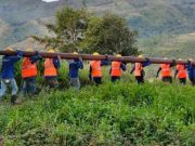 PLN Terima Penghargaan ADB Atas Implementasi Green Loan Proyek Ketenagalistrikan di Indonesia Timur