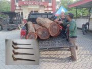 Dua Pencuri Kayu Sonokeling di Hutan Juworo Grobogan Ditangkap, Tiga Pelaku Lain Kabur