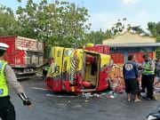 Truk Angkut Buah Naga Terguling di Godong Setelah Bertabrakan dengan Honda Freed