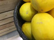 Identik dengan Menu Berbuka, Ini 5 Manfaat Timun Suri Bagi Kesehatan