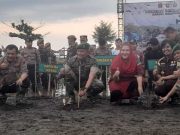 Kodam IV/Diponegoro Gelar Penanaman Mangrove Nasional, 59725 Bibit Mangrove Ditanam di Pantai Tirang