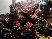 Diduga Gara-gara Puntung Rokok, Ribuan Telur Ayam Terbakar