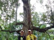 Pegiat Durian Jepara Berharap Pemkab Peduli Keberadaan Durian Purba Jepara