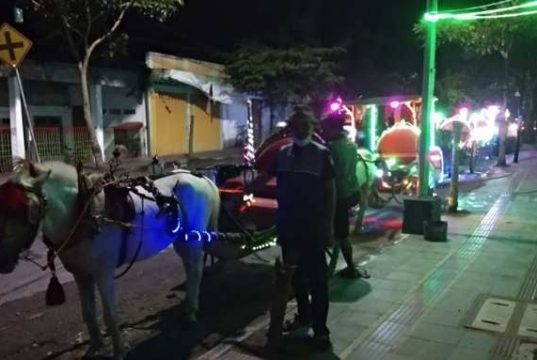 Dokar Hias Jadi Favorit Wisata Malam Para Pemudik Keliling Kota Blora
