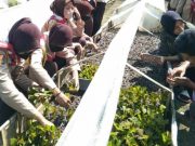 Perhutani Randublatung Berikan Latihan Buat Bibit Jati JPP-SP bagi Anggota Saka Wanabakti