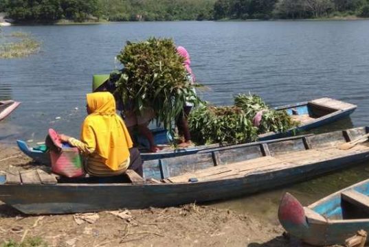 Warga Tunjungan Mengais Rezeki dengan Mancing Ikan di Waduk Greneng Blora