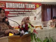 Vita Ervina : Pupuk Organik Bisa Tingkatkan Produk Pertanian