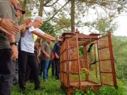 Ganjar Tanam 200 Bibit Pohon dan Lepasliarkan 44 Burung di Gunung Ungaran