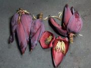 Dapat Membantu Menurunkan Berat Badan, Ini 4 Manfaat Jantung Pisang Bagi Kesehatan
