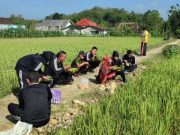 Jumat Istimewa Polsek Tawangharjo, Jalan Sehat Dilanjutkan Sarapan di Sawah Bersama Petani