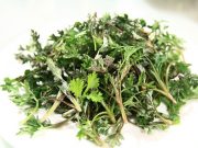 Sering Digunakan Sebagai Bahan Kecantikan, Ini 5 Manfaat Mugwort bagi Kesehatan Kulit