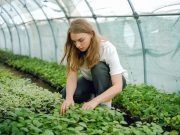 Selain Menjadi Hobi yang Menyenangkan, Ini 5 Manfaat Berkebun Bagi Kesehatan Mental