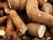 Dapat Mengangkat Sel Kulit Mati, Ini 4 Manfaat Kulit Singkong Bagi Kecantikan Kulit
