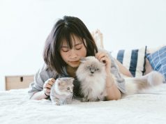 Selain Menyebabkan Alergi, Ini 4 Bahaya Bulu Kucing bagi Kesehatan Tubuh