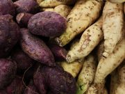 Ubi Jadi Salah Satu Pilihan, Ini 7 Alternatif Pengganti Nasi yang Kaya Akan Karbohidrat