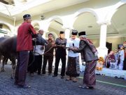 Bupati Kudus Hartopo Serahkan Tujuh Ekor Kerbau untuk Kurban