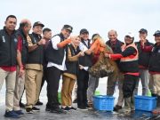 Tambak Udang Berbasis Kawasan Mulai Panen, Presiden Bakal Hadir