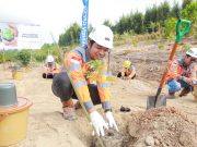 Semen Gresik Tanam Puluhan Pohon di Area Reklamasi Tambang untuk Peringati Hari Lingkungan Hidup Sedunia