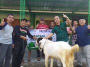 Idul Adha 1444H, Perhutani Randublatung Sembelih 5 Hewan Kurban