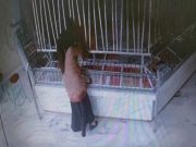 Seorang Guru Aniaya Karyawati Toko Emas di Wirosari Gegara Suami Dapat Kiriman Video Syur