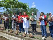 Ita Ingin Kota Semarang Jadi Pemasok Bawang Merah bagi Kawasan Hinterland