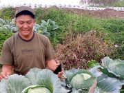 Petani di Wonosobo Akui Keunggulan Cairan Humid Acid