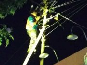 PLN Gerak Cepat Tangani Gangguan Kelistrikan Akibat Lost Contact Konektor Trafo di Blora