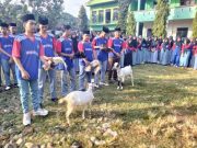 Siswa MA NU Nahdlatul Fata Dibekali Keterampilan Pemotongan Hewan Qurban