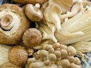 Tips Makan Jamur Anti Mabuk