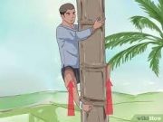 Tips Memanjat Pohon Kelapa