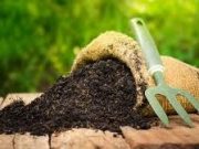 Tips Membuat Pupuk Kompos Sendiri
