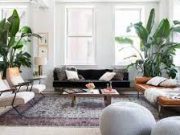 Tips Membuat Ruangan Wangi Bersih Alami
