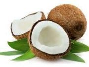 Tips Memilih Kelapa yang Tepat Untuk Santan