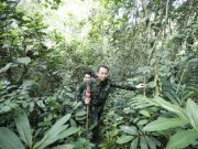 BNN Musnahkan 1,5 Hektar Ladang Ganja di Madina, Sumatera Utara