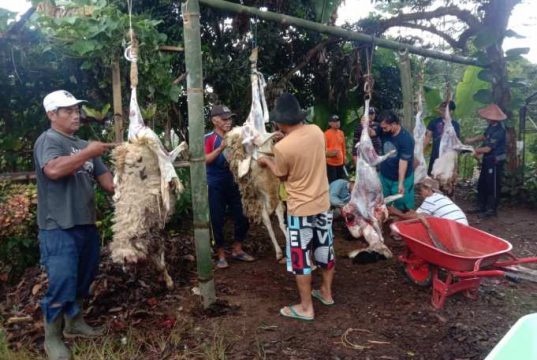 Warga Perum Purnamandala Kurban 6 Sapi dan 16 Kambing