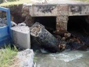 Pintu Air di Desa Papanrejo Gubug Ambrol, Ratusan Hektar Sawah Terancam Kekeringan