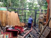 Api Bediang Akibatkan Rumah Terbakar di Tawangharjo, Seekor Kambing Terpanggang