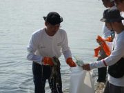 Peringati Hari Lingkungan Hidup, PLN Bersihkan Pesisir Pantai Blebak dan Tanam Mangrove