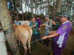 Jelang Hari Raya Kurban Tiga Pasar Hewan di Jepara Dipantau Ketat
