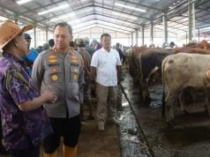 Pastikan Hewan Bebas Penyakit, Kapolres Jepara Cek Pasar Pon