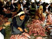 Bagaimana Hukumnya Berqurban Sapi untuk 7 Orang Sedangkan yang Satu Non Muslim, Begini Penjelasannya