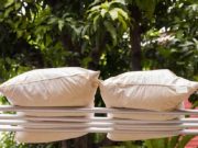 Dapat Membasmi Tungau, Ini 4 Manfaat Menjemur Kasur dan Bantal