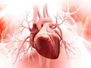 Ini Pentingnya Rutin Cek EKG, Simak yuk…