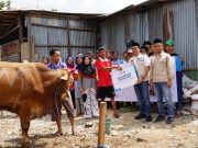 Idul Adha, YBM PLN Salurkan 1.444 Hewan Kurban Ke Seluruh Indonesia