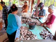 Nelayan Waduk Gajahmungkur Wonogiri Panen Ikan Putihan