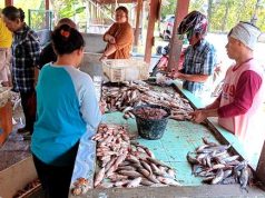 Nelayan Waduk Gajahmungkur Wonogiri Panen Ikan Putihan