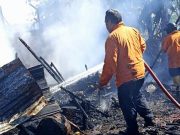 Lagi, Dapur dan Kandang Terbakar, 9 Ekor Kambing Mati Terpanggang