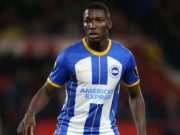 Serius Kejar Gelandang Brighton