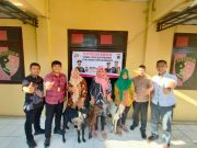 Tiga Korban TPPO Menerima Bantuan Kambing dari Wakapolri p